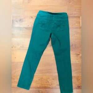 Green Skinny Pants Style and Co Pull on Stretch Jeans